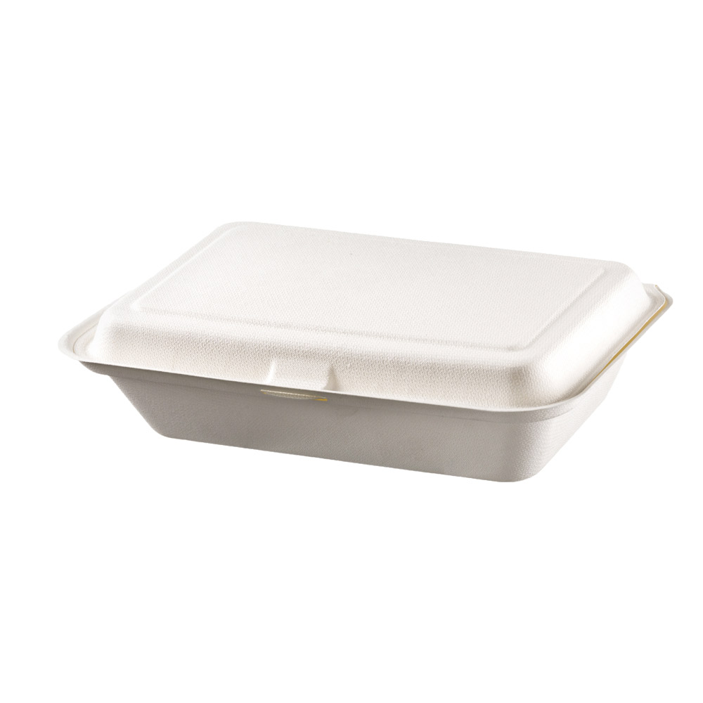 Menübox mit Klappdeckel, ungeteilt, Bagasse